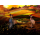 PlayStation Muramasa: Revenant Blades Deluxe Edition - 1546861 - zdjęcie 4